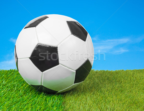 Balón de fútbol campo cielo azul textura hierba deporte Foto stock © FrameAngel