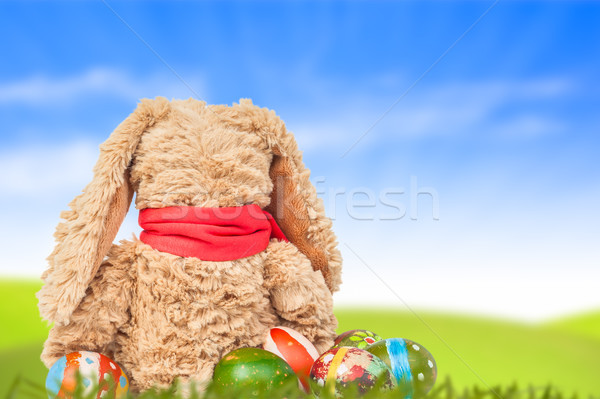 Rabbit, sit on green grass and group of colorful eggs are behind Stock photo © FrameAngel