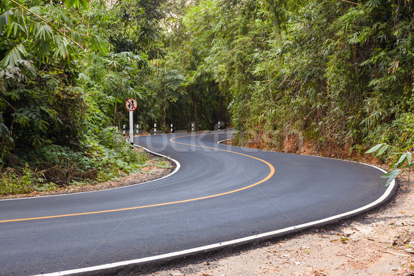 'S' curved asphalt road view in the forest Stock photo © FrameAngel