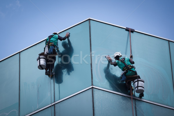 Stockfoto: Groep · werknemers · schoonmaken · Windows · dienst · hoog