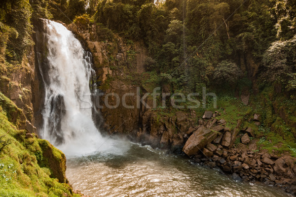 Waterfall names 'Haew Narok' in rainforest at KHAO YAI national  Stock photo © FrameAngel