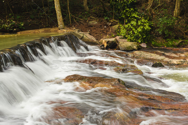 forest waterfall Stock photo © FrameAngel