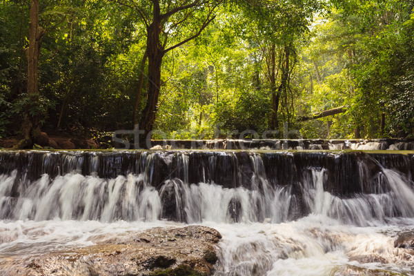 森林 瀑布 樹 景觀 岩 河 商業照片 © FrameAngel