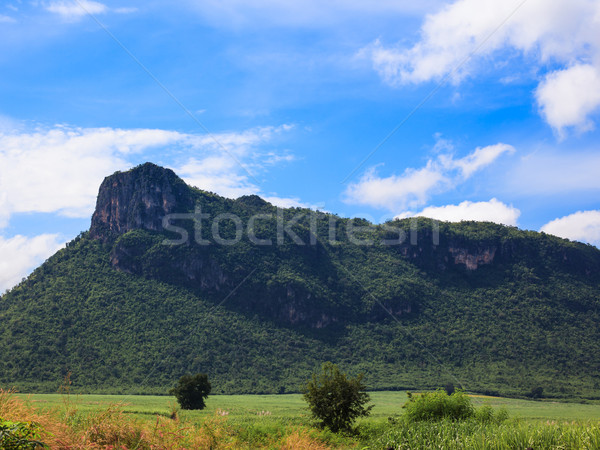 Summer landscape in mountains and the dark blue sky with clouds  Stock photo © FrameAngel