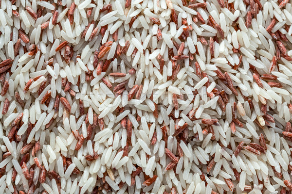 Marrom arroz destruído vermelho farinha besouro Foto stock © FrameAngel