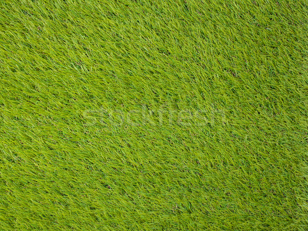 Artificial turf japanese green Stock photo © FrameAngel