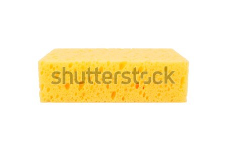 Sponge for washing disk on white background Stock photo © FrameAngel