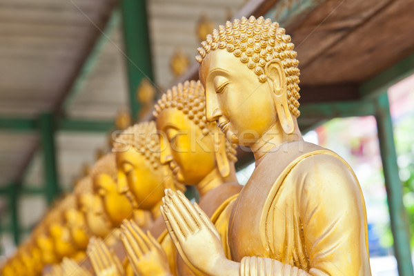 Golden Buddha statue in Thaland temple  Stock photo © FrameAngel