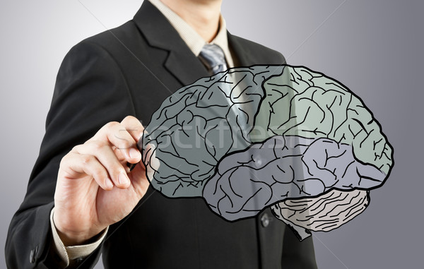 Om de afaceri desen creierul uman diagramă afaceri lumina Imagine de stoc © FrameAngel