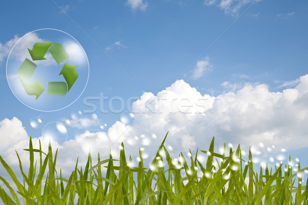 Recycle logo concept and bubble Stock photo © FrameAngel