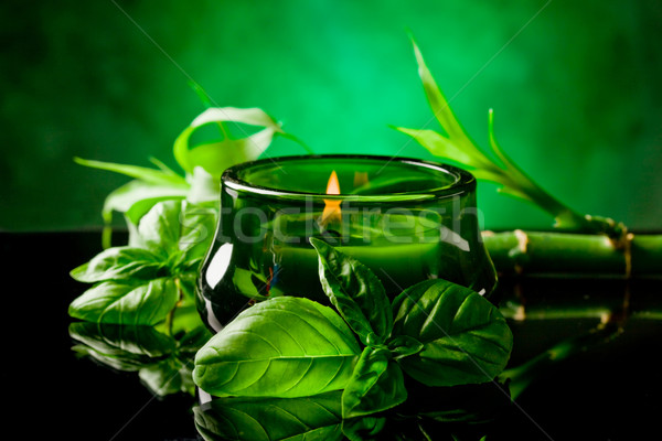 Candle with basil flavour Stock photo © Francesco83