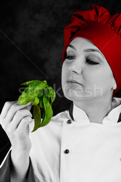 Chef is controlling basil quality Stock photo © Francesco83