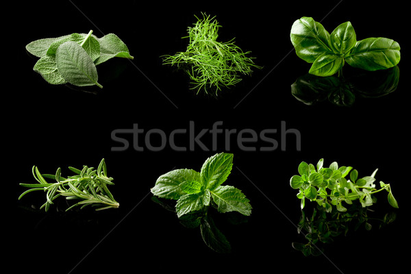 Gyógynövények kollázs fekete fotó különböző friss Stock fotó © Francesco83