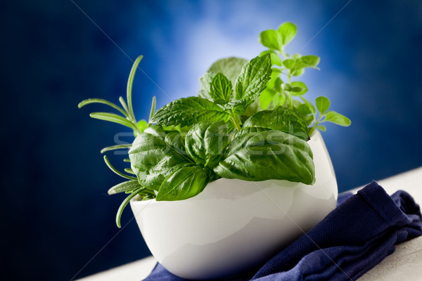 Stock photo: Herbs highlighted by spot light