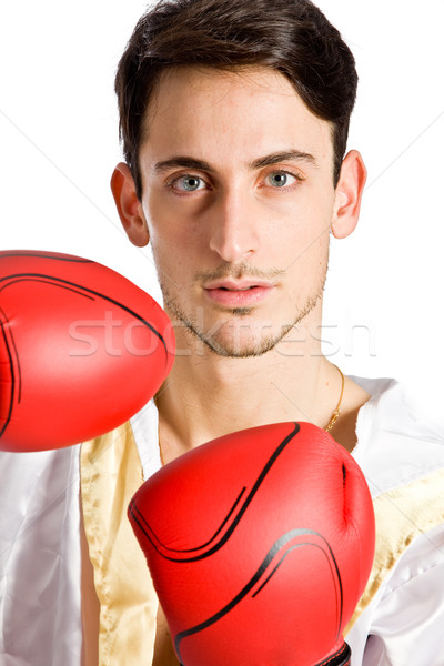 Boxer Stock photo © Francesco83