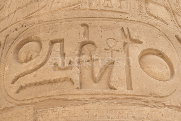 Ayrıntılı görmek Mısır sütun tapınak Stok fotoğraf © frank11