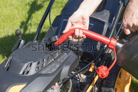 Gardening- shredding Stock photo © frank11