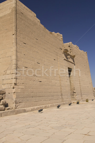 Templom Egyiptom Afrika függőlegesen épület utazás Stock fotó © frank11