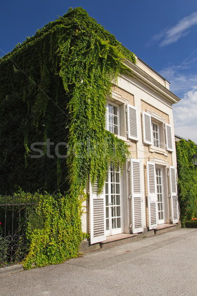 House with creeper Stock photo © frank11