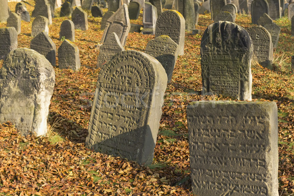 Friedhof Tschechische Republik wichtig viele Barock Typ Stock foto © frank11