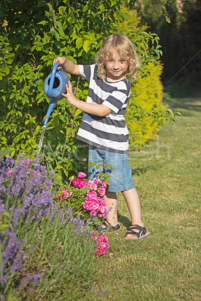 Rubio nino jardinería azul olla Foto stock © frank11