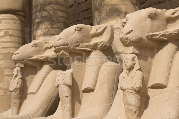 Templom Luxor Egyiptom textúra épület pálma Stock fotó © frank11