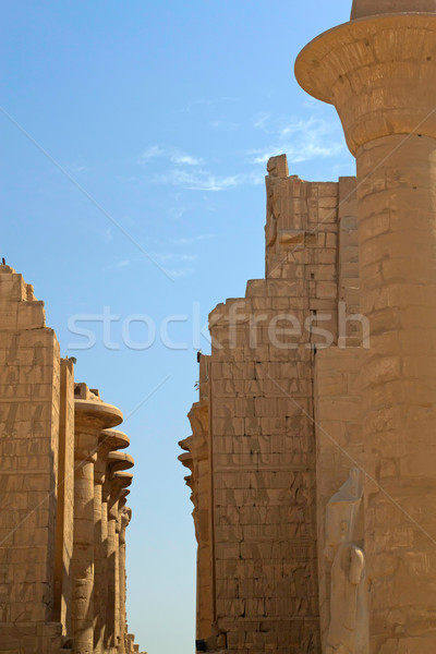 Foto d'archivio: Tempio · luxor · Egitto · colonne · complesso · texture