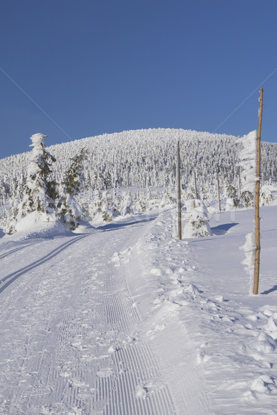 Сток-фото: крест · стране · лыжах · способом · гор · зима