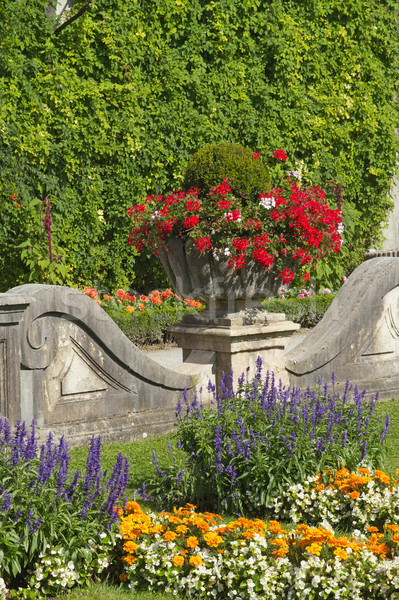 Decoratie tuin zomer huis stad Stockfoto © frank11