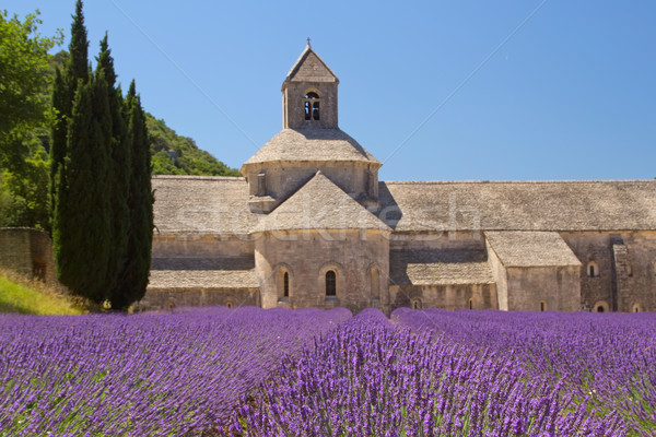 Sénanque Abbey (Provence, France) Stock photo © frank11
