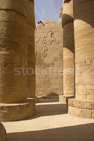 Foto d'archivio: Colonne · Egitto · sala · luxor · cielo