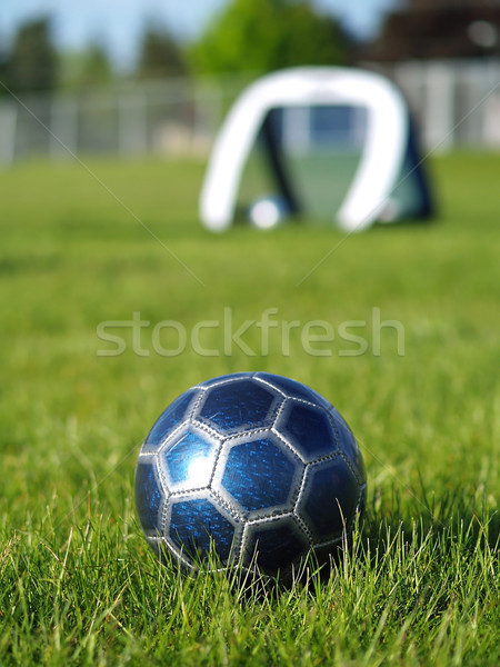 Foto stock: Azul · futebol · meta · campo · grama · verde