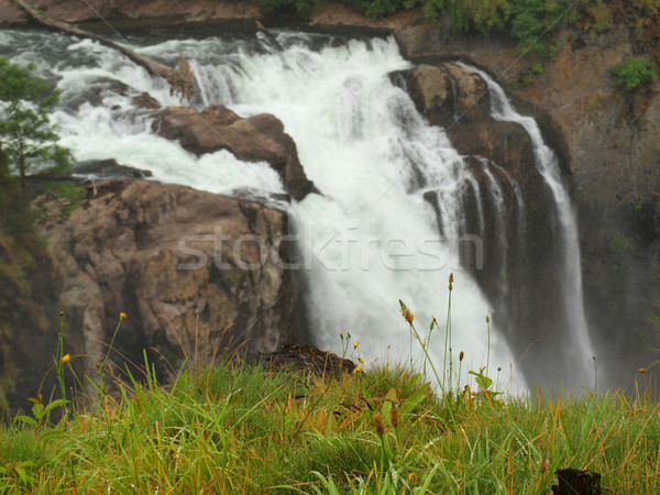 Beautiful Mountain Waterfall  Stock photo © Frankljr