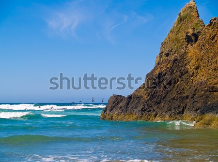 Rugged Rocky Beach on the Oregon Coast  Stock photo © Frankljr