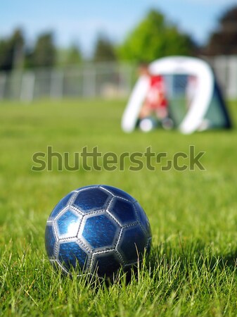 Foto stock: Azul · balón · de · fútbol · jugadores · campo · hierba · verde
