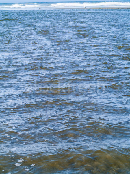 Gentle, Blue Ocean Waves at the Shore Stock photo © Frankljr