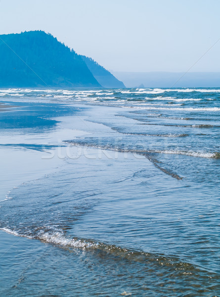 Ocean Waves on the Shore on a Clear, Sunny Day  Stock photo © Frankljr