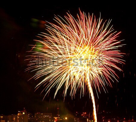 Fireworks Against the Night Sky Stock photo © Frankljr