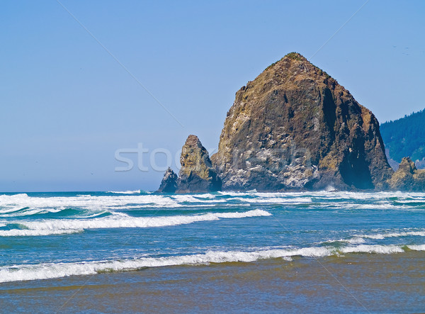 пляж Орегон побережье стог сена рок Сток-фото © Frankljr