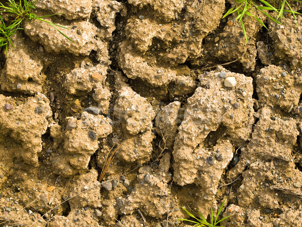 Parched and Cracked Dry Ground  Stock photo © Frankljr