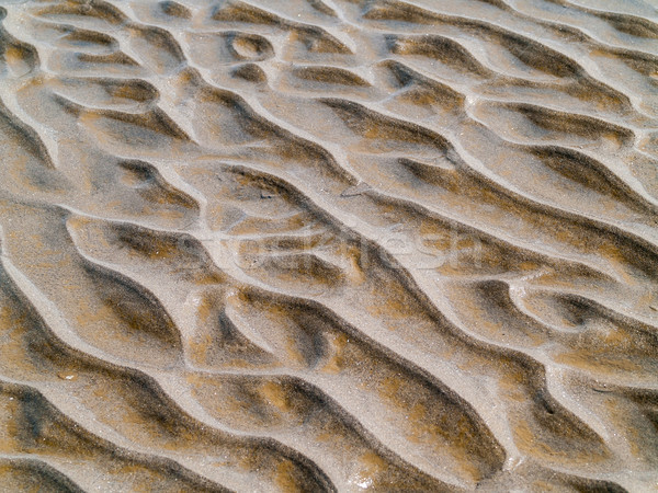 Sand Ripples at the Beach from Waves and Wind Stock photo © Frankljr