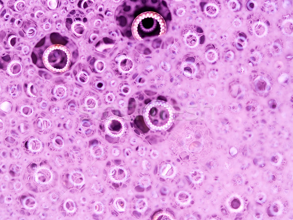 мыльные пузыри Размышления макроса розовый Сток-фото © Frankljr