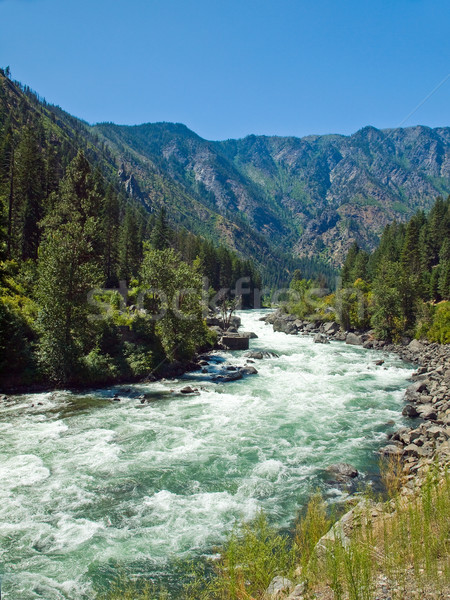Stock foto: Fluss · fließend · Berg · Wald · Washington · USA