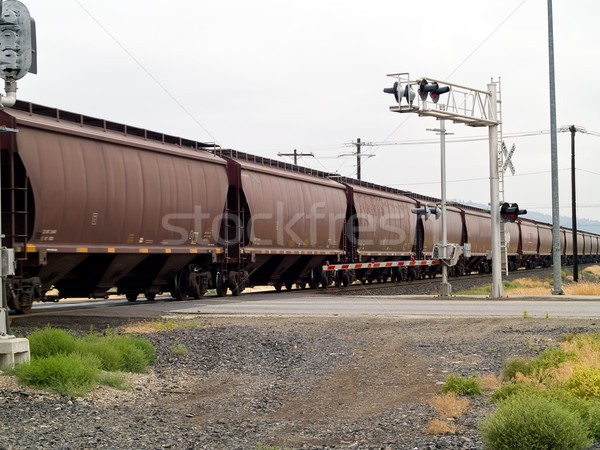 Stock photo: Moving Cargo Trains with Blur