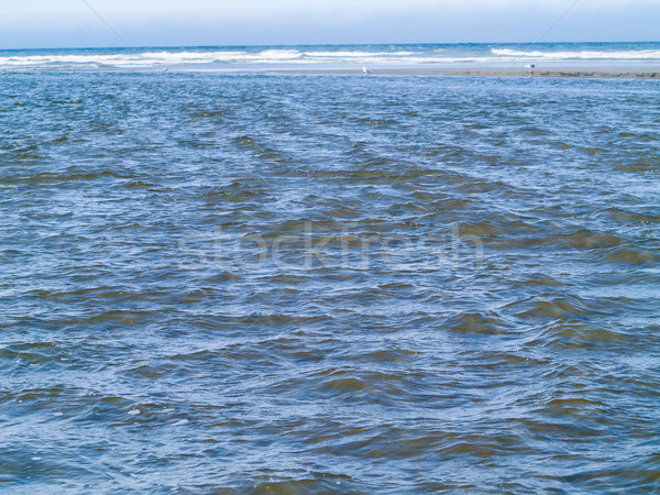 Gentle, Blue Ocean Waves at the Shore Stock photo © Frankljr