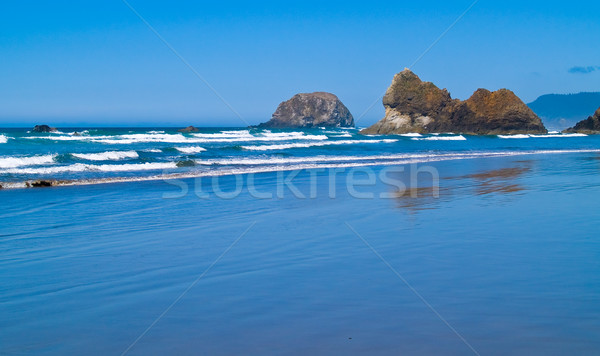 Rugged Rocky Beach Stock photo © Frankljr