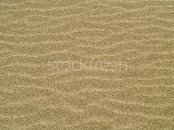 Abstract background of sand ripples at the beach Stock photo © Frankljr