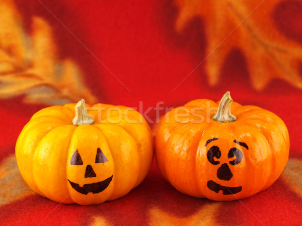 Mini Pumpkins with Funny Faces on a Red Autumn Cloth Background Stock photo © Frankljr