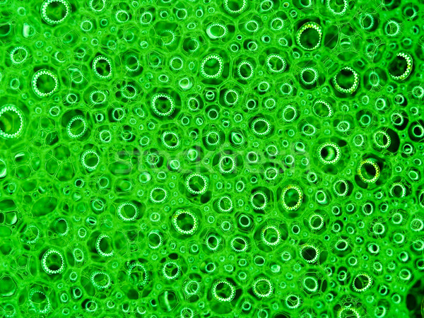 Bulles de savon réflexions macro vert eau [[stock_photo]] © Frankljr