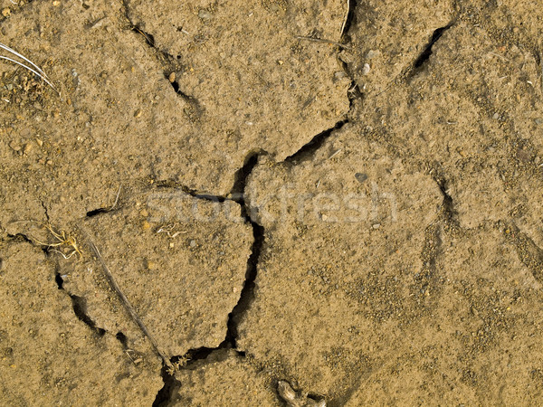 Gebarsten drogen grond vol zonlicht zomer Stockfoto © Frankljr